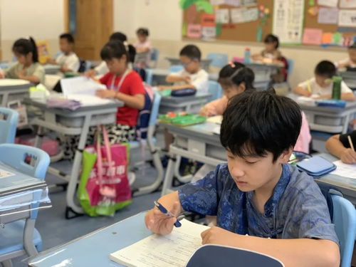 告别无聊暑假，精彩每一天 青岛中小学生暑期托管服务纪实