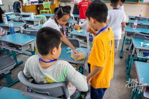 154个小学生的暑期托管首日 走进校外服务，体验成长与快乐