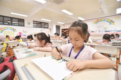 我区小学生暑期托管班正式开班 构建安全、充实、快乐的校外服务新体验